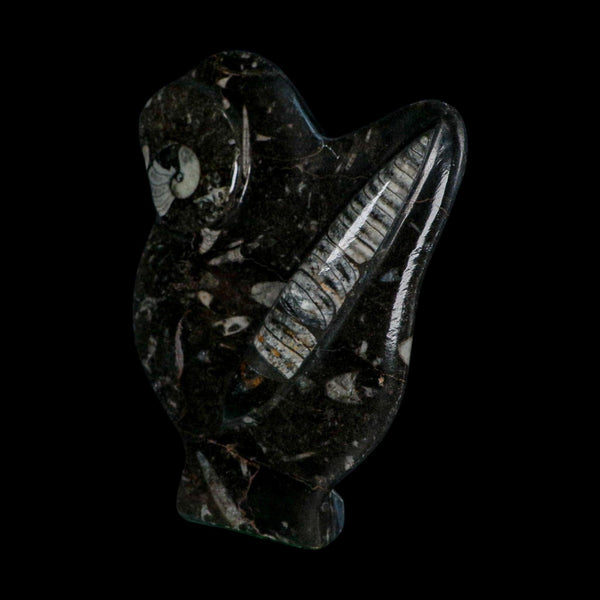 6.2