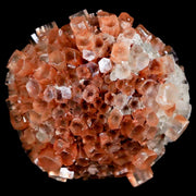 1.8" Aragonite Mineral Two Tone Crystal Cluster Specimen Tazouta Morocco