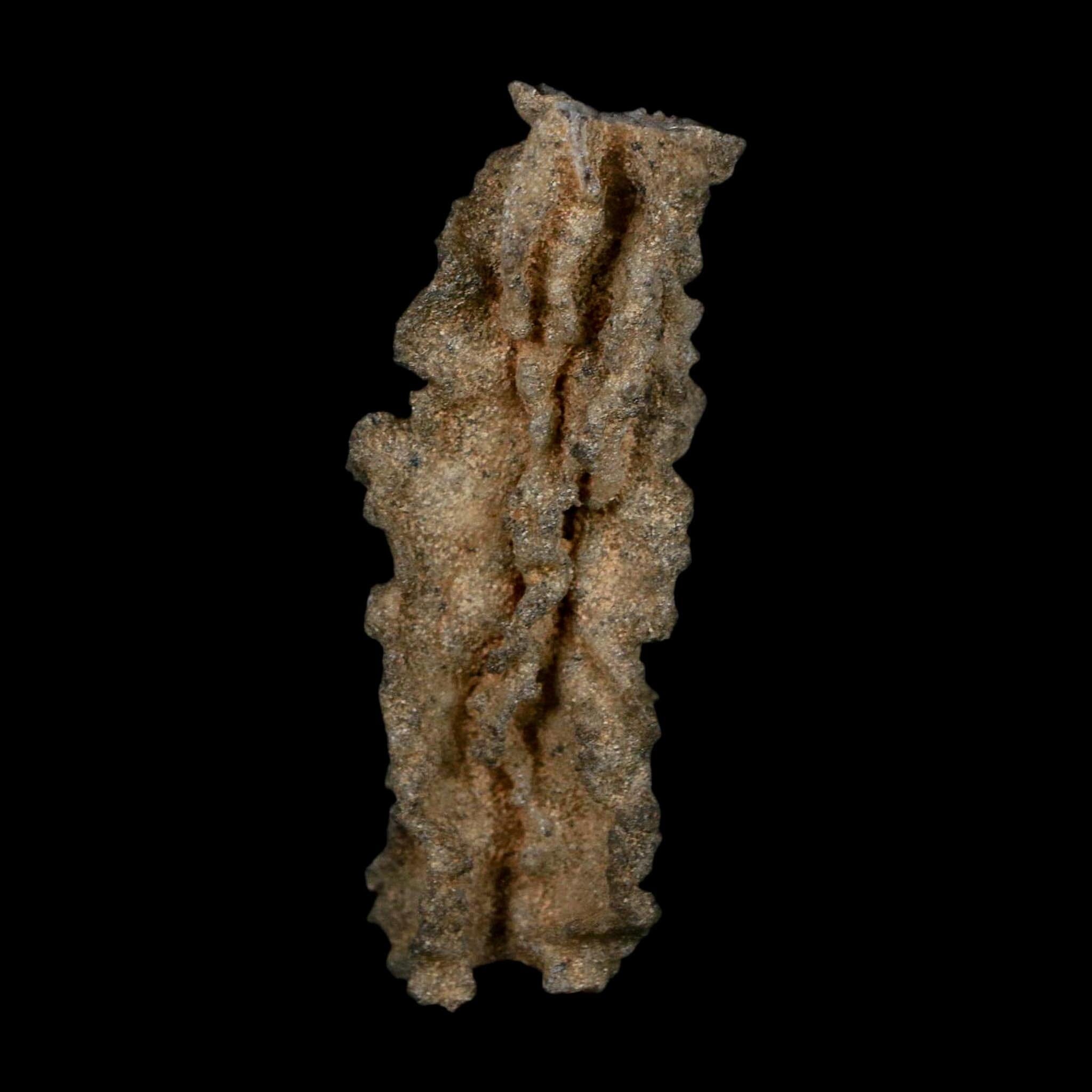 3.1" Fulgurite Petrified Lightning Strike Glass Sahara Desert Algeria - Fossil Age Minerals