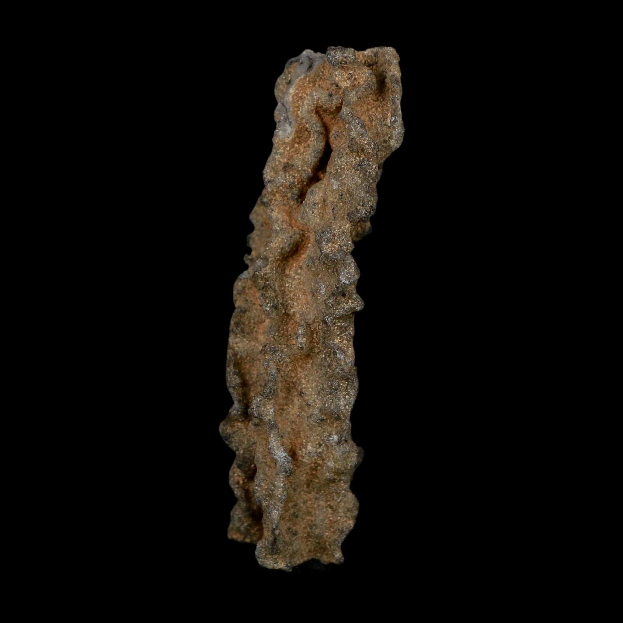 3.1" Fulgurite Petrified Lightning Strike Glass Sahara Desert Algeria - Fossil Age Minerals