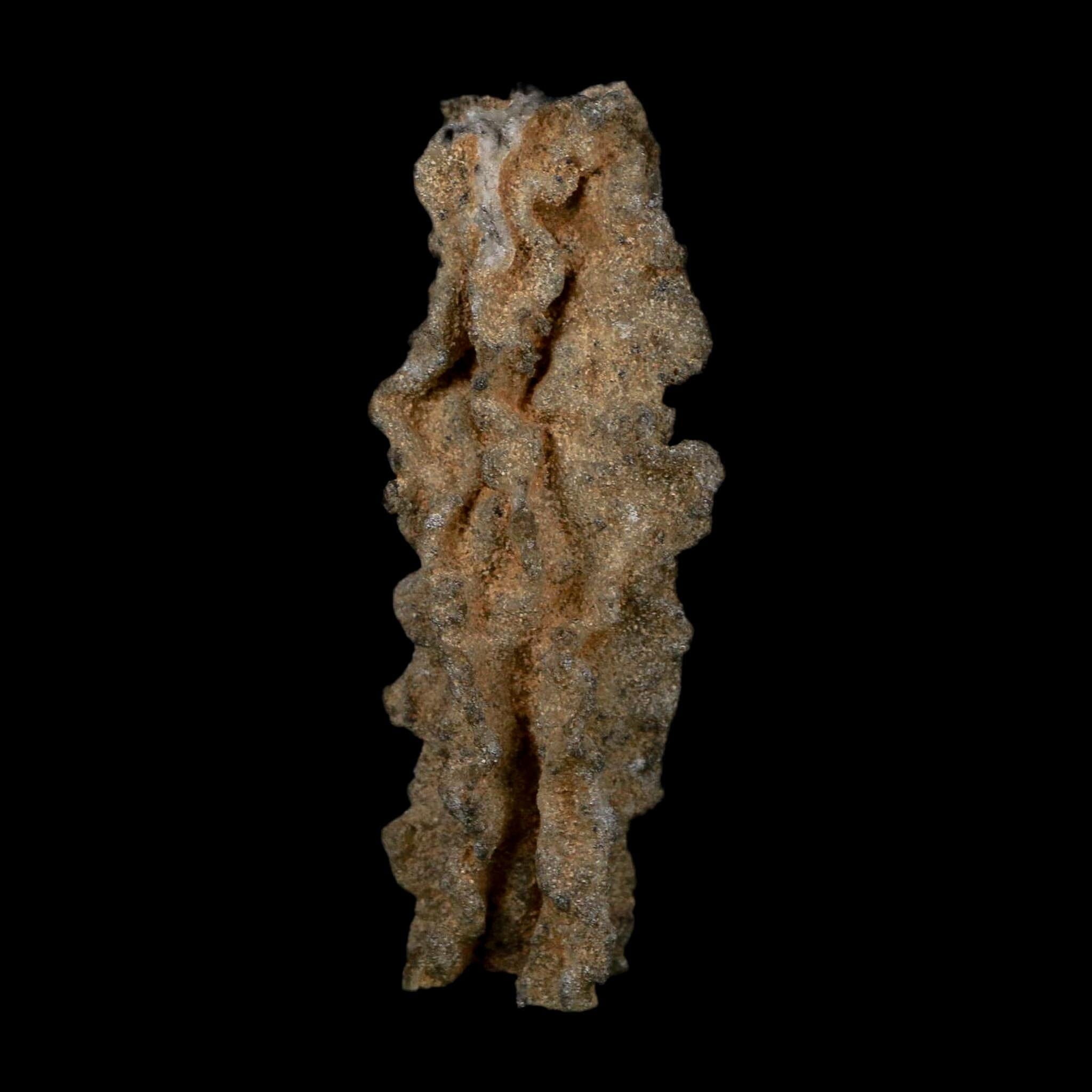 3.1" Fulgurite Petrified Lightning Strike Glass Sahara Desert Algeria - Fossil Age Minerals