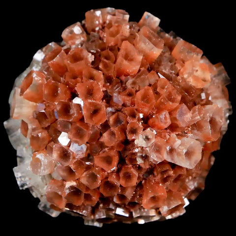 1.8" Aragonite Mineral Two Tone Crystal Cluster Specimen Tazouta Morocco - Fossil Age Minerals