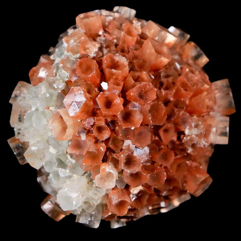 1.8" Aragonite Mineral Two Tone Crystal Cluster Specimen Tazouta Morocco - Fossil Age Minerals