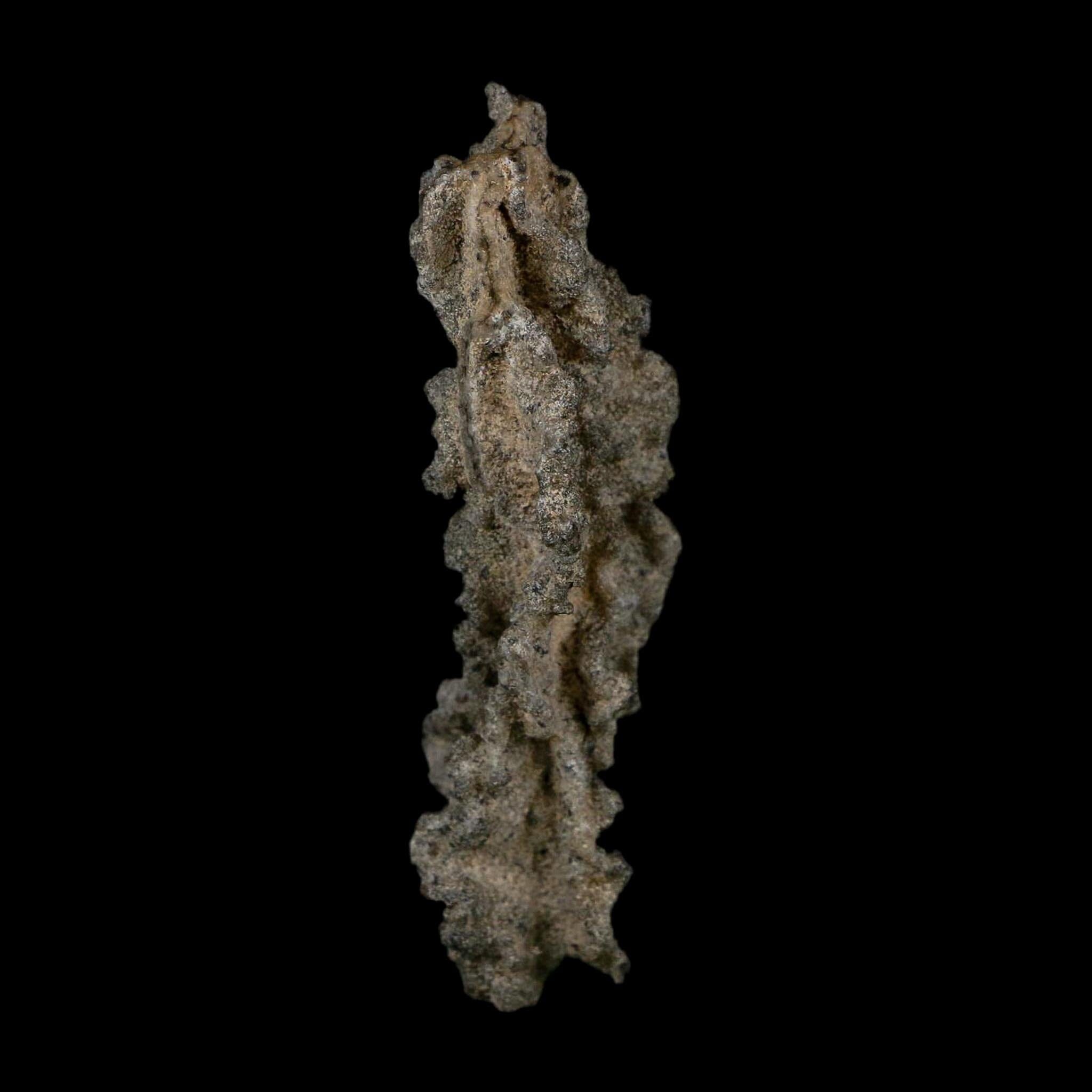 3.5" Fulgurite Petrified Lightning Strike Glass Sahara Desert Algeria - Fossil Age Minerals