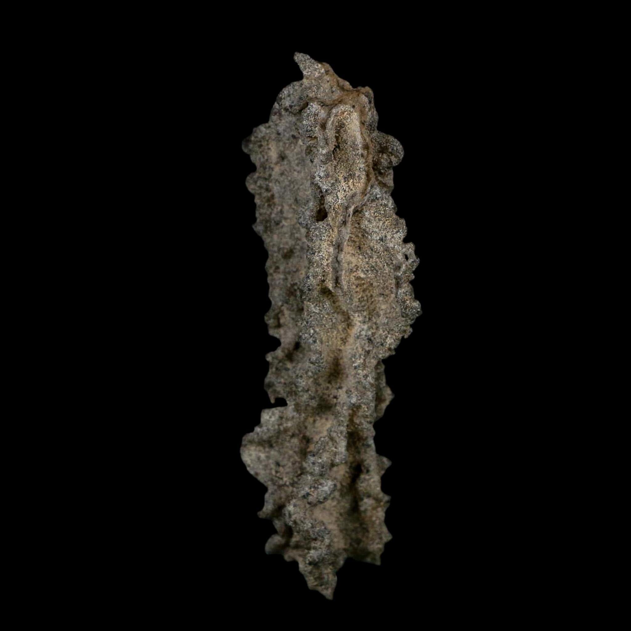 3.5" Fulgurite Petrified Lightning Strike Glass Sahara Desert Algeria - Fossil Age Minerals
