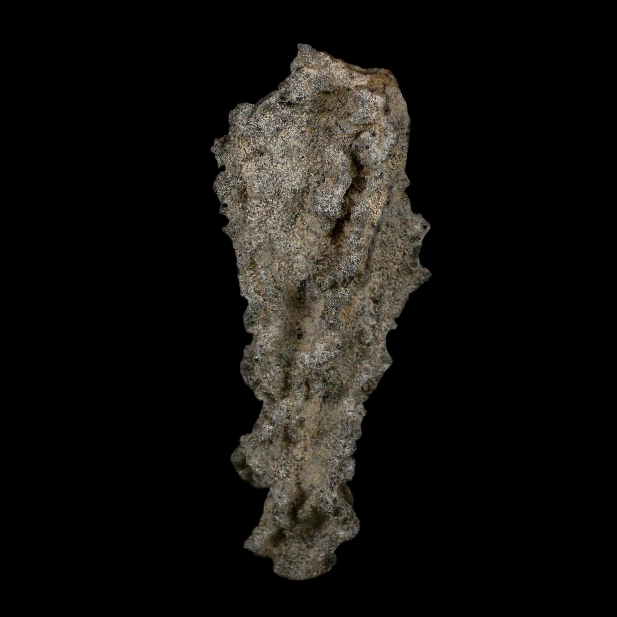 3.5" Fulgurite Petrified Lightning Strike Glass Sahara Desert Algeria - Fossil Age Minerals