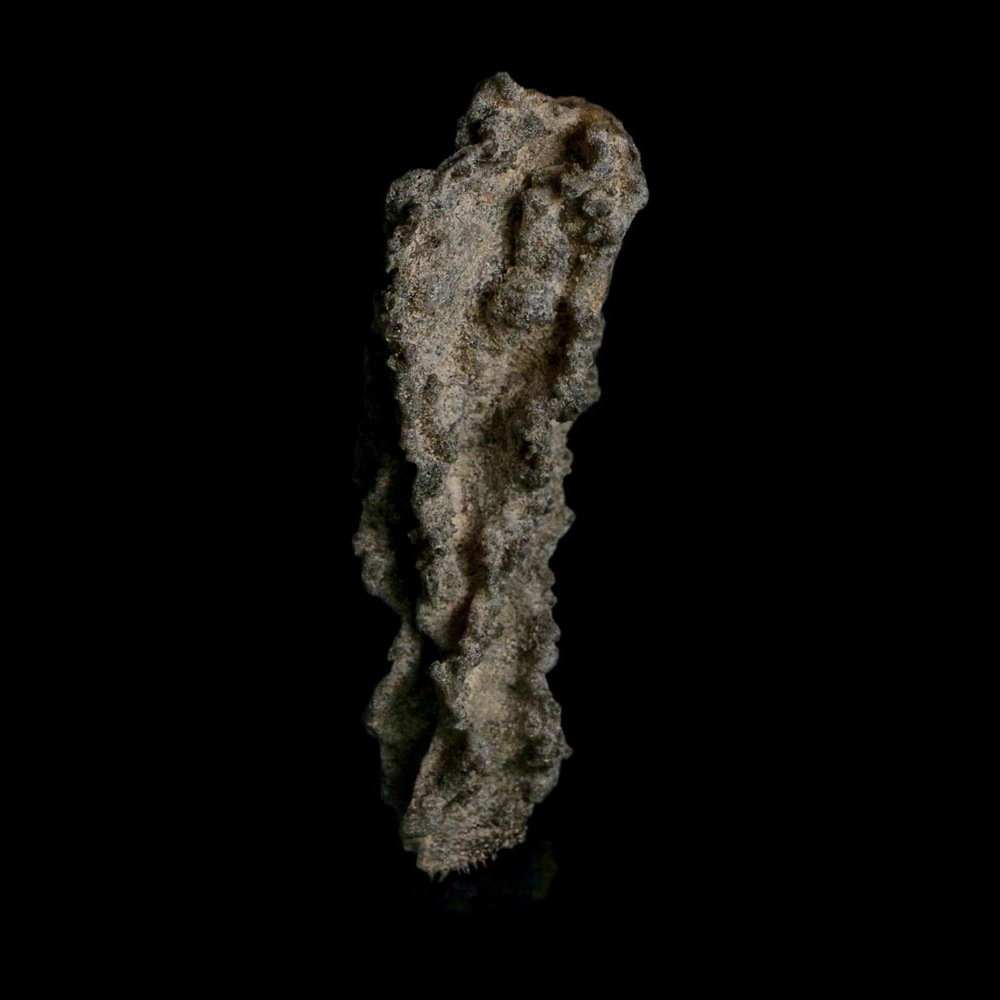 3.5" Fulgurite Petrified Lightning Strike Glass Sahara Desert Algeria - Fossil Age Minerals