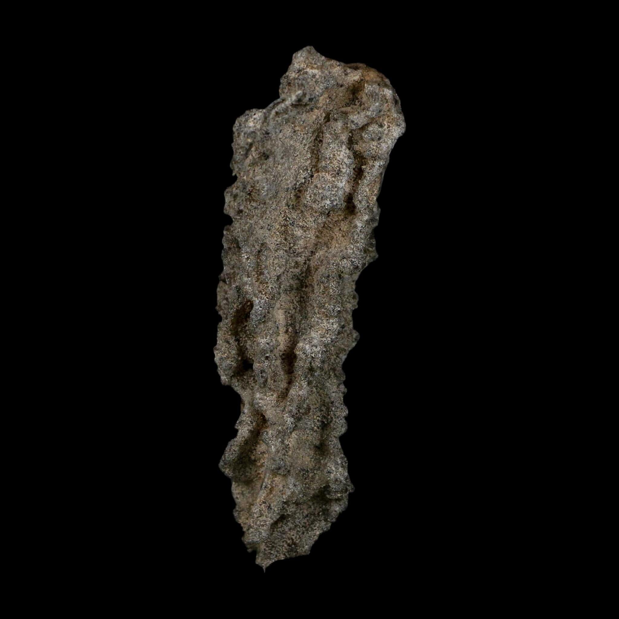 3.5" Fulgurite Petrified Lightning Strike Glass Sahara Desert Algeria - Fossil Age Minerals