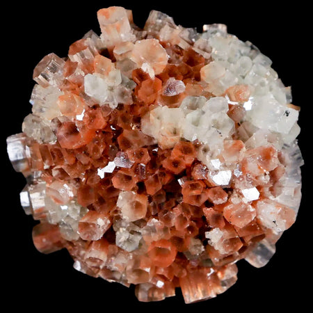 2" Aragonite Mineral Two Tone Crystal Cluster Specimen Tazouta Morocco