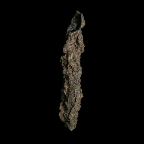 3.9" Fulgurite Petrified Lightning Strike Glass Sahara Desert Algeria - Fossil Age Minerals