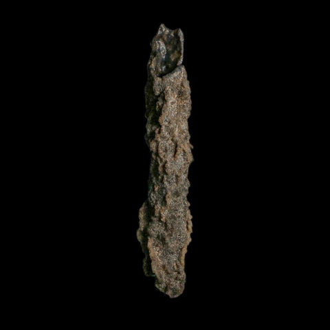 3.9" Fulgurite Petrified Lightning Strike Glass Sahara Desert Algeria - Fossil Age Minerals