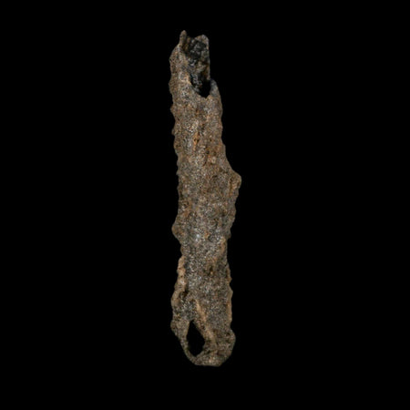 3.9" Fulgurite Petrified Lightning Strike Glass Sahara Desert Algeria