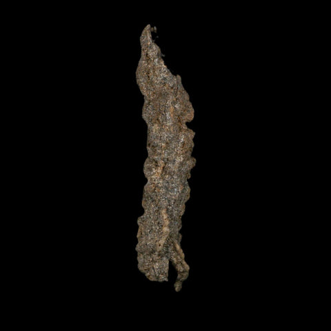 3.9" Fulgurite Petrified Lightning Strike Glass Sahara Desert Algeria - Fossil Age Minerals