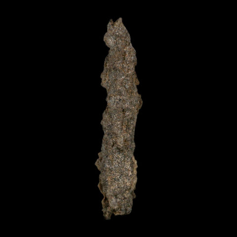 3.9" Fulgurite Petrified Lightning Strike Glass Sahara Desert Algeria - Fossil Age Minerals