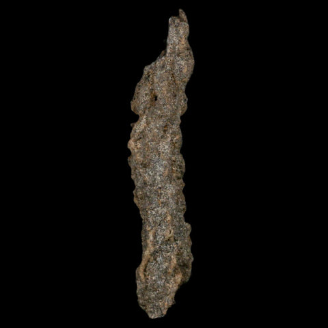 3.9" Fulgurite Petrified Lightning Strike Glass Sahara Desert Algeria - Fossil Age Minerals
