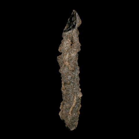 3.9" Fulgurite Petrified Lightning Strike Glass Sahara Desert Algeria - Fossil Age Minerals