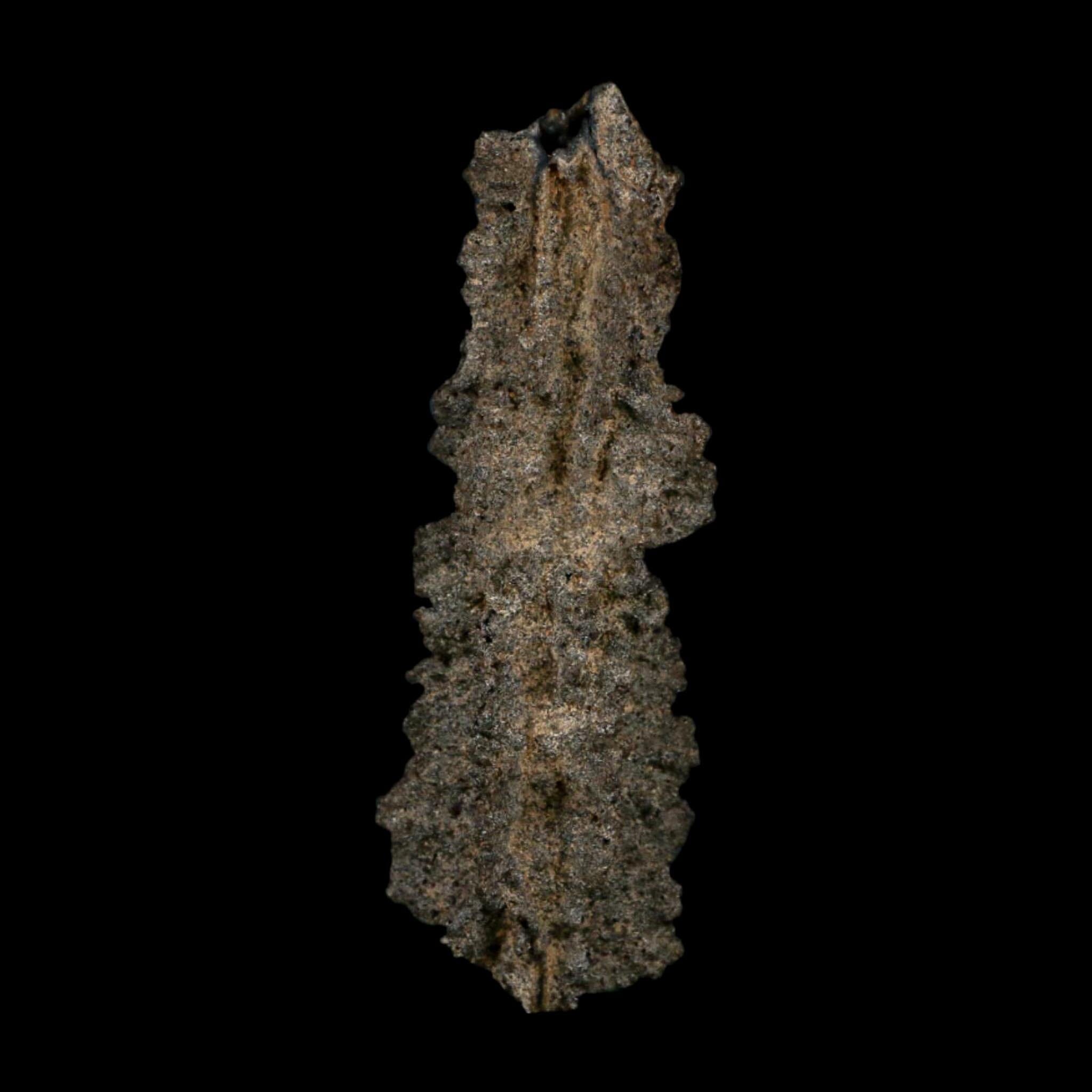 3.9" Fulgurite Petrified Lightning Strike Glass Sahara Desert Algeria - Fossil Age Minerals