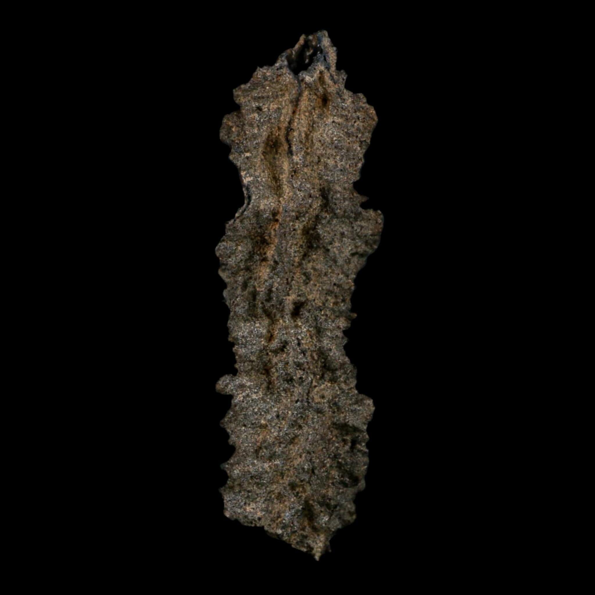 3.9" Fulgurite Petrified Lightning Strike Glass Sahara Desert Algeria - Fossil Age Minerals