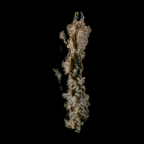 3.9" Fulgurite Petrified Lightning Strike Glass Sahara Desert Algeria - Fossil Age Minerals