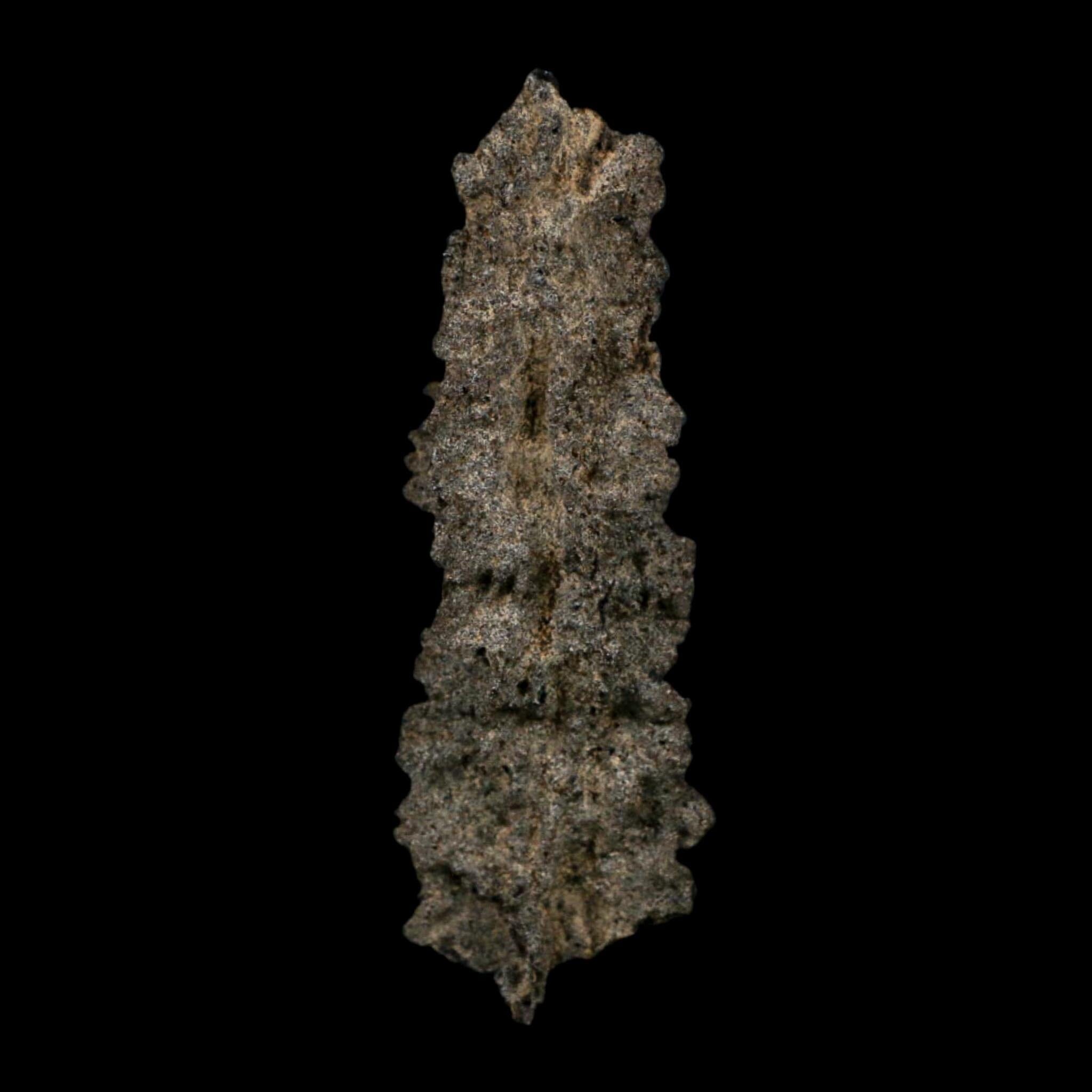 3.9" Fulgurite Petrified Lightning Strike Glass Sahara Desert Algeria - Fossil Age Minerals