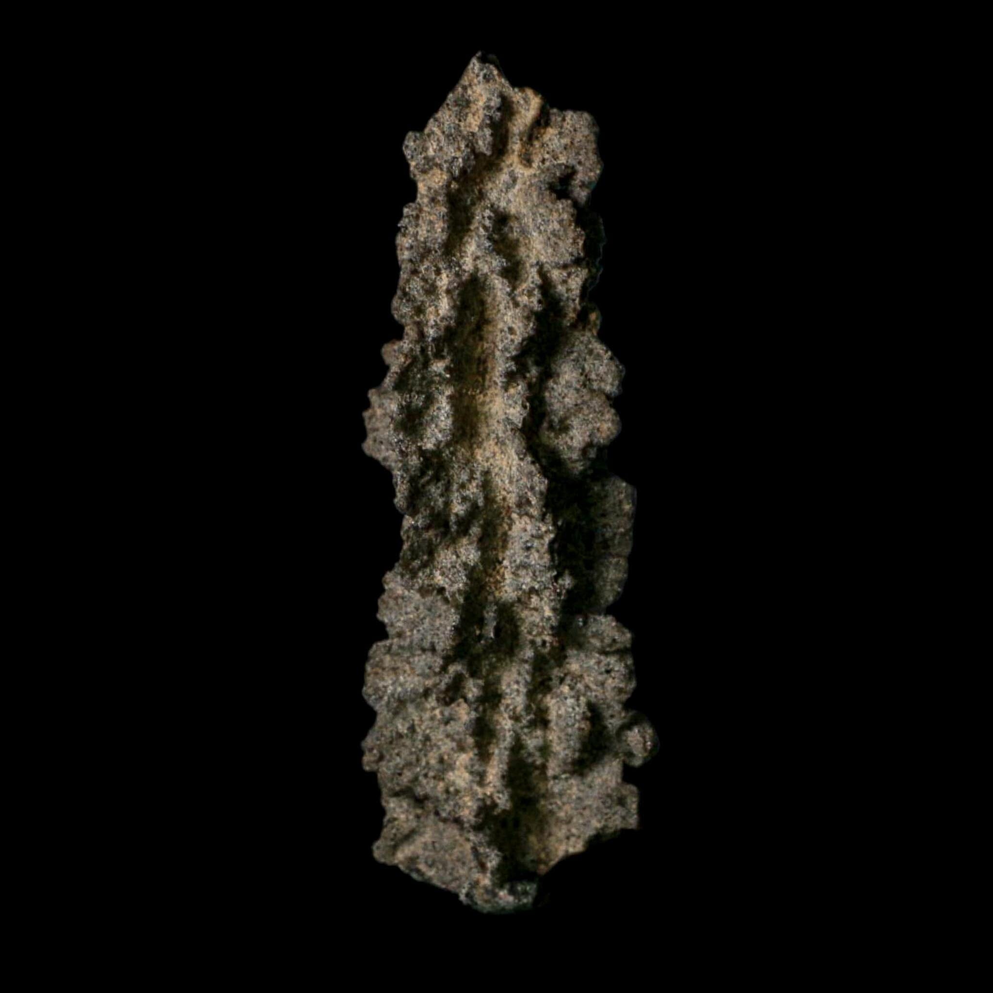 3.9" Fulgurite Petrified Lightning Strike Glass Sahara Desert Algeria - Fossil Age Minerals