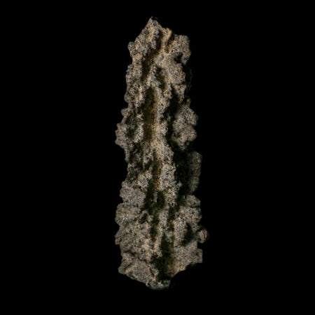 3.9" Fulgurite Petrified Lightning Strike Glass Sahara Desert Algeria