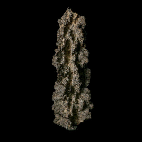 3.9" Fulgurite Petrified Lightning Strike Glass Sahara Desert Algeria - Fossil Age Minerals