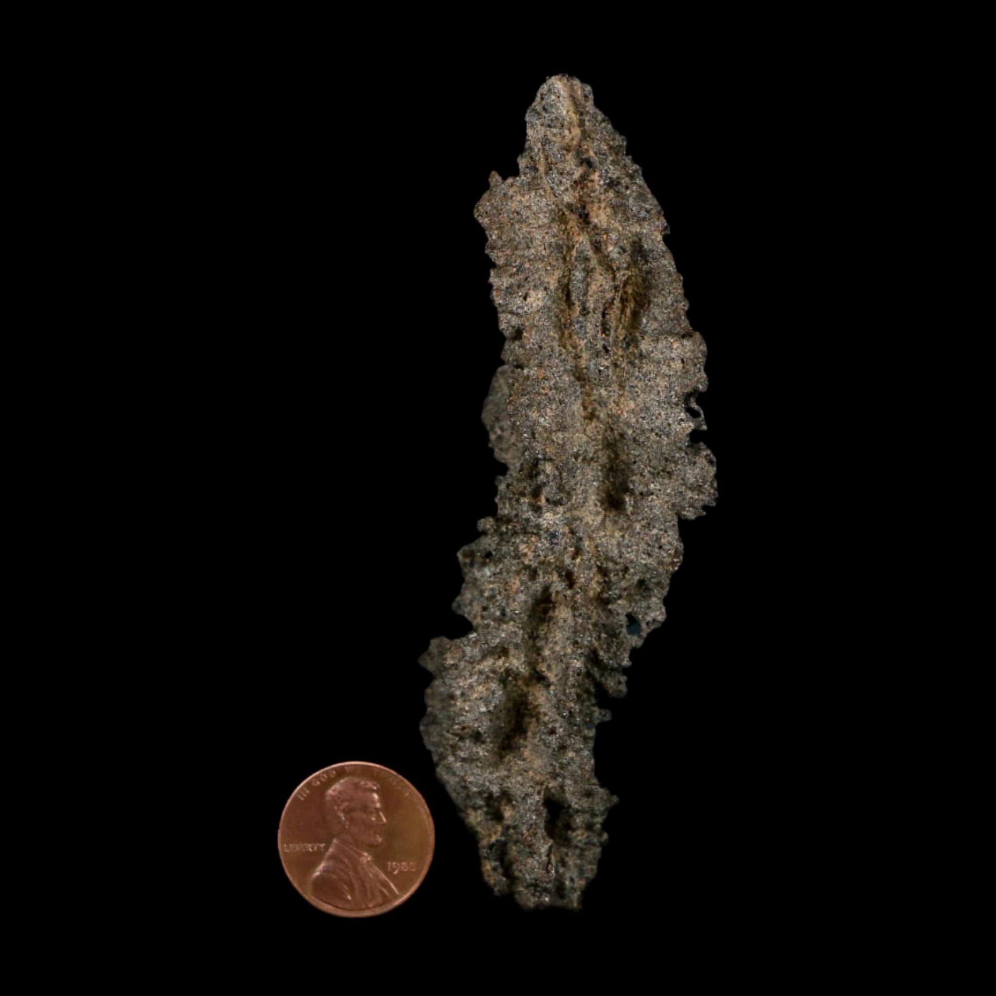 3.9" Fulgurite Petrified Lightning Strike Glass Sahara Desert Algeria - Fossil Age Minerals