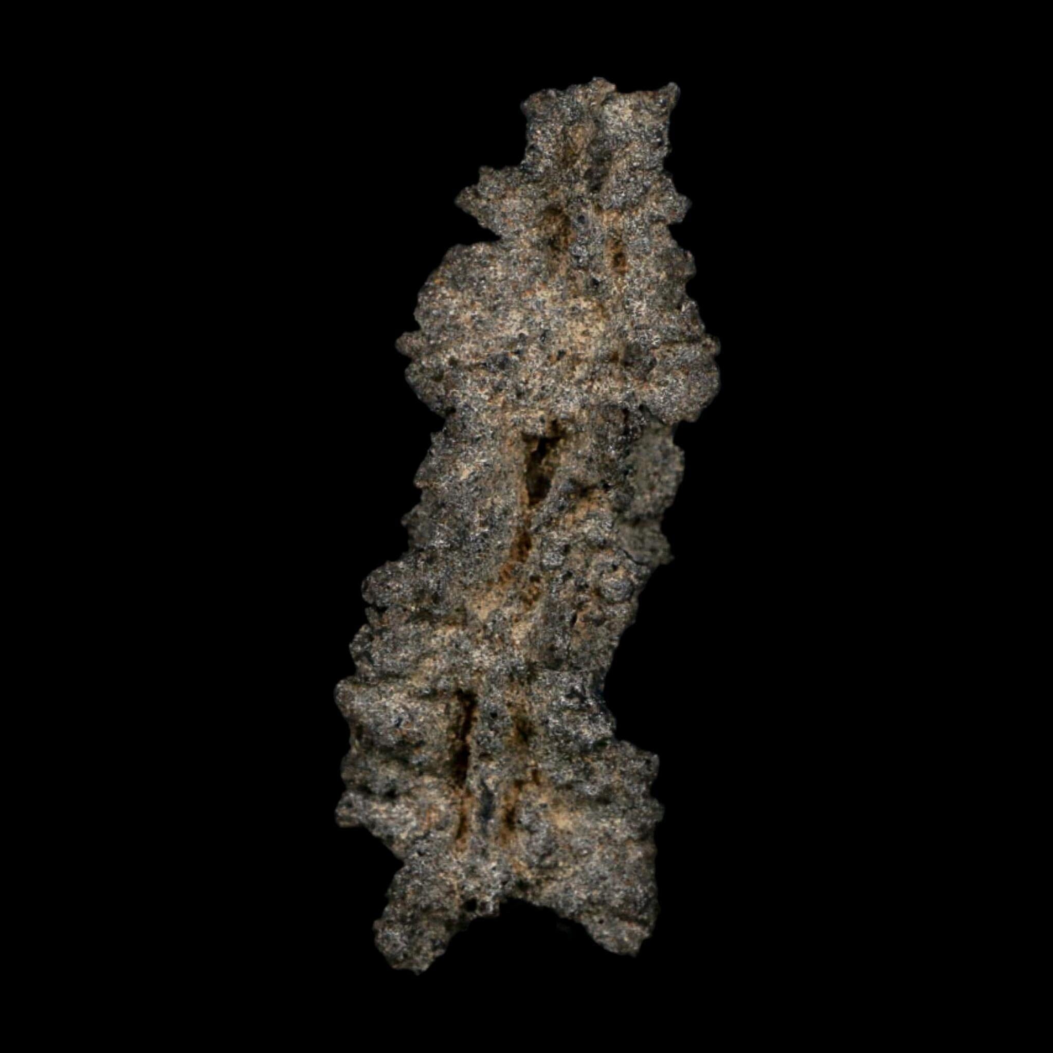 3.2" Fulgurite Petrified Lightning Strike Glass Sahara Desert Algeria - Fossil Age Minerals