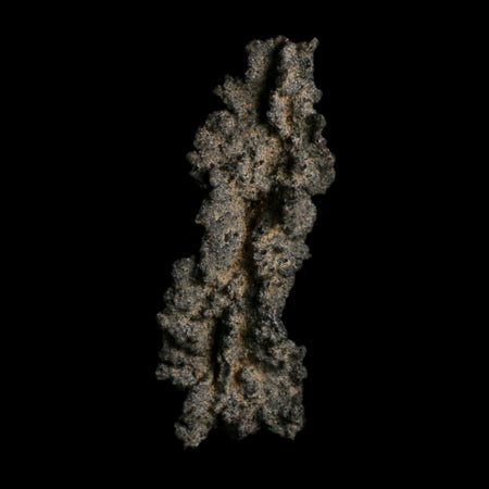 3.2" Fulgurite Petrified Lightning Strike Glass Sahara Desert Algeria