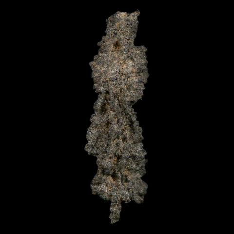 3.2" Fulgurite Petrified Lightning Strike Glass Sahara Desert Algeria - Fossil Age Minerals