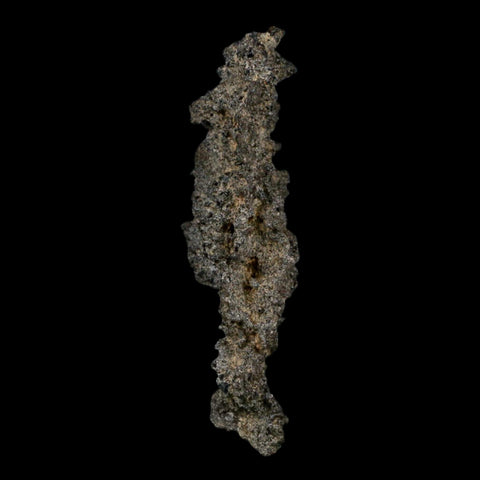 3.2" Fulgurite Petrified Lightning Strike Glass Sahara Desert Algeria - Fossil Age Minerals