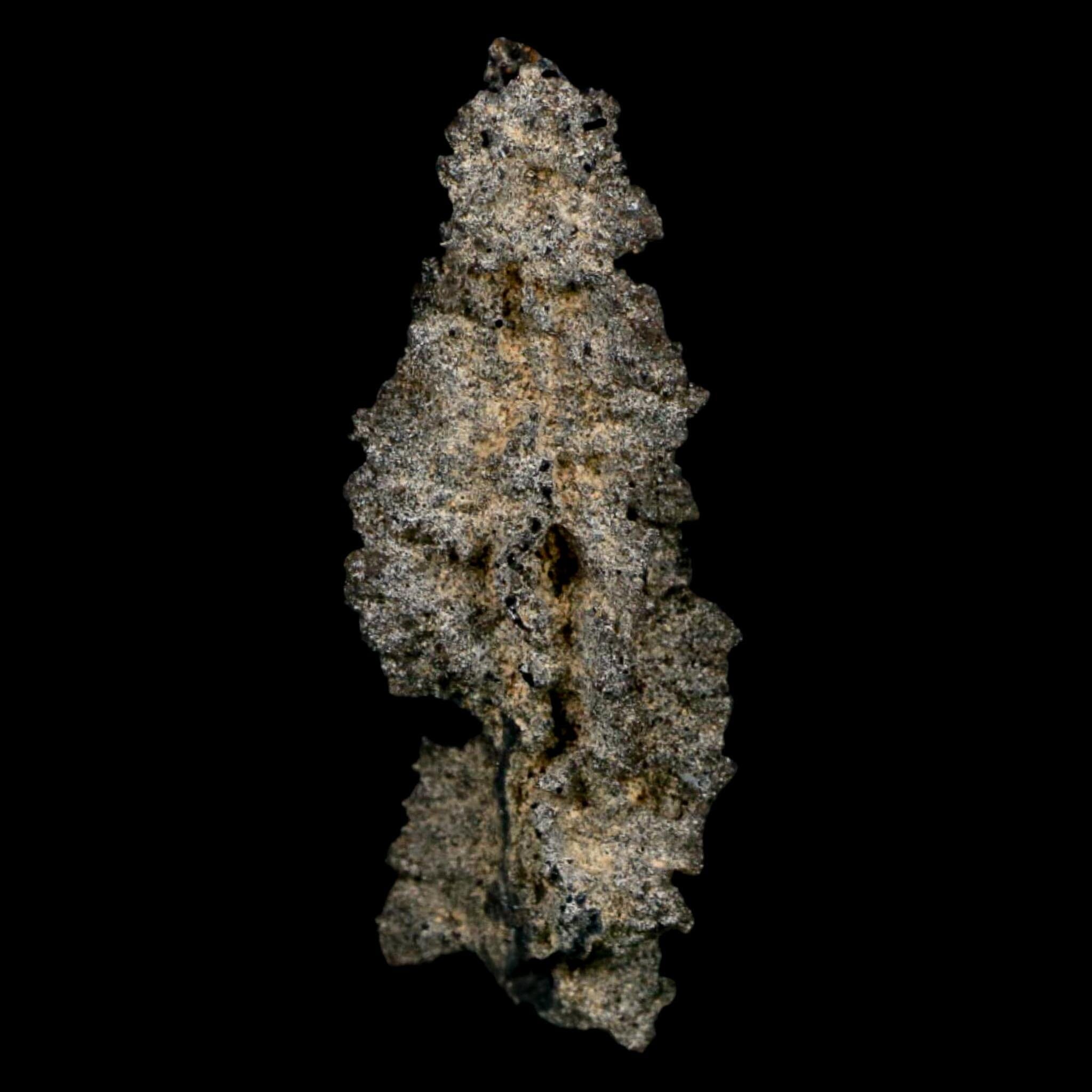 3.2" Fulgurite Petrified Lightning Strike Glass Sahara Desert Algeria - Fossil Age Minerals