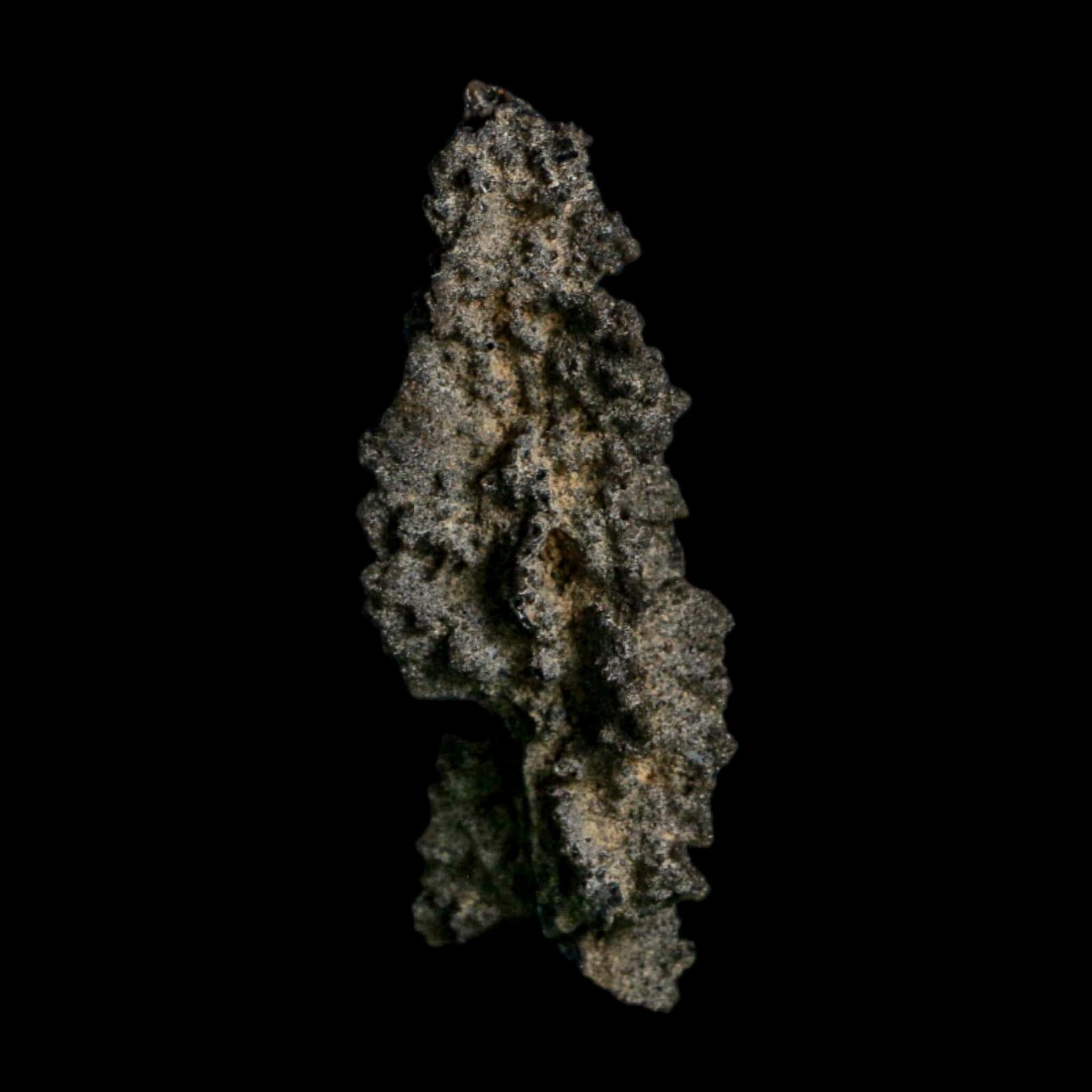 3.2" Fulgurite Petrified Lightning Strike Glass Sahara Desert Algeria - Fossil Age Minerals