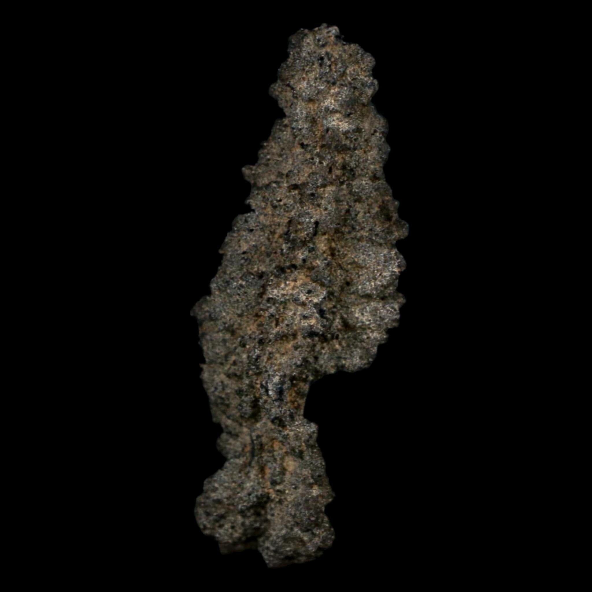 3.2" Fulgurite Petrified Lightning Strike Glass Sahara Desert Algeria - Fossil Age Minerals