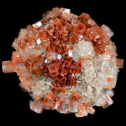 2.3" Aragonite Mineral Two Tone Crystal Cluster Specimen Tazouta Morocco