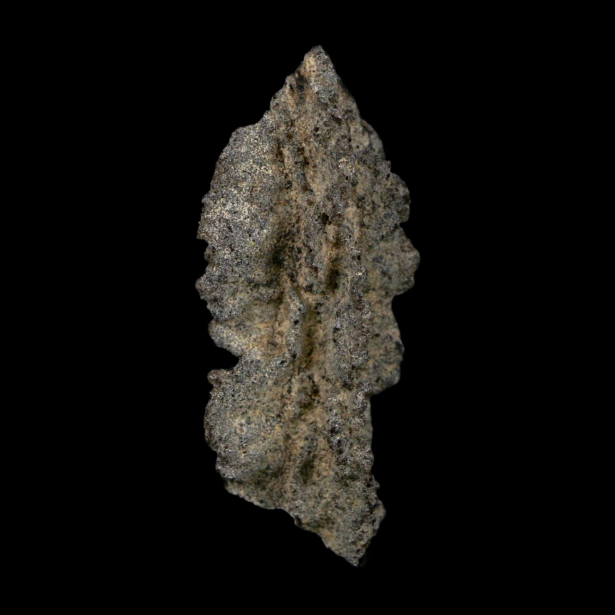 2.6" Fulgurite Petrified Lightning Strike Glass Sahara Desert Algeria - Fossil Age Minerals