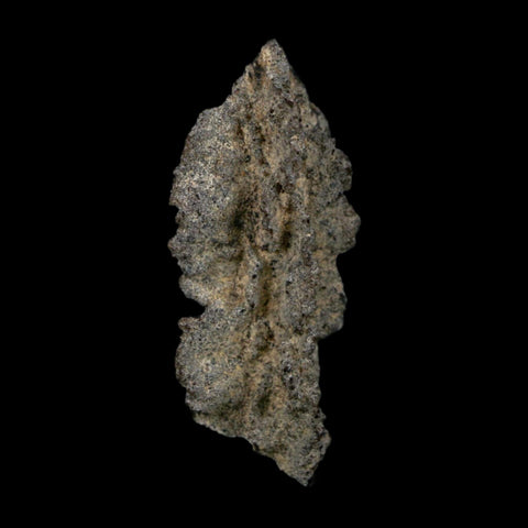 2.6" Fulgurite Petrified Lightning Strike Glass Sahara Desert Algeria - Fossil Age Minerals