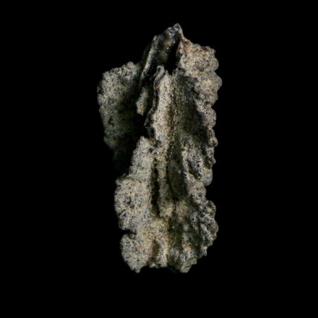 2.6" Fulgurite Petrified Lightning Strike Glass Sahara Desert Algeria