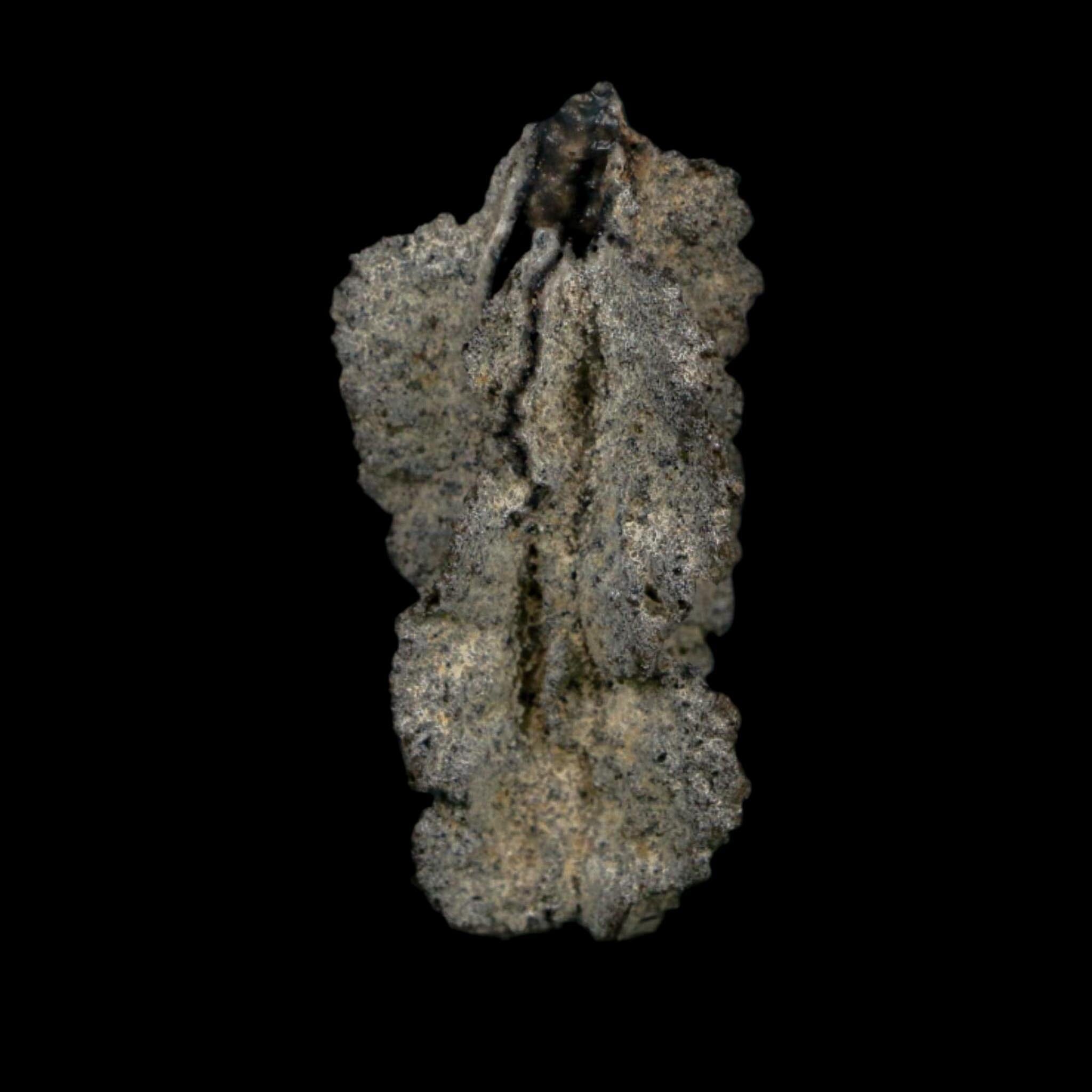 2.6" Fulgurite Petrified Lightning Strike Glass Sahara Desert Algeria - Fossil Age Minerals
