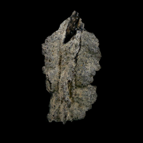 2.6" Fulgurite Petrified Lightning Strike Glass Sahara Desert Algeria - Fossil Age Minerals