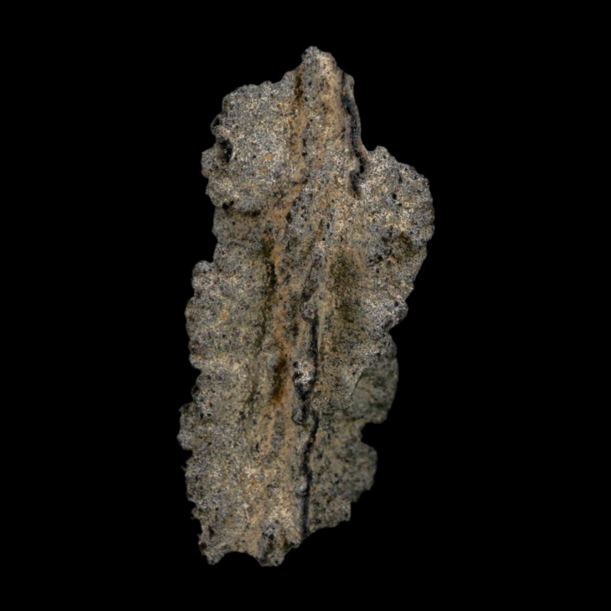 2.6" Fulgurite Petrified Lightning Strike Glass Sahara Desert Algeria - Fossil Age Minerals