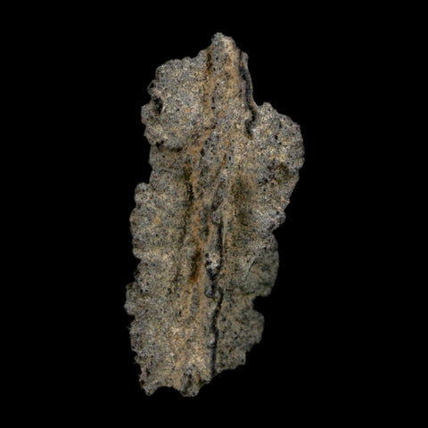 2.6" Fulgurite Petrified Lightning Strike Glass Sahara Desert Algeria - Fossil Age Minerals