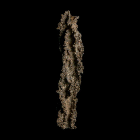 3.7" Fulgurite Petrified Lightning Strike Glass Sahara Desert Algeria