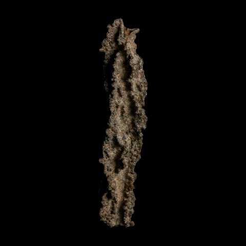3.7" Fulgurite Petrified Lightning Strike Glass Sahara Desert Algeria - Fossil Age Minerals