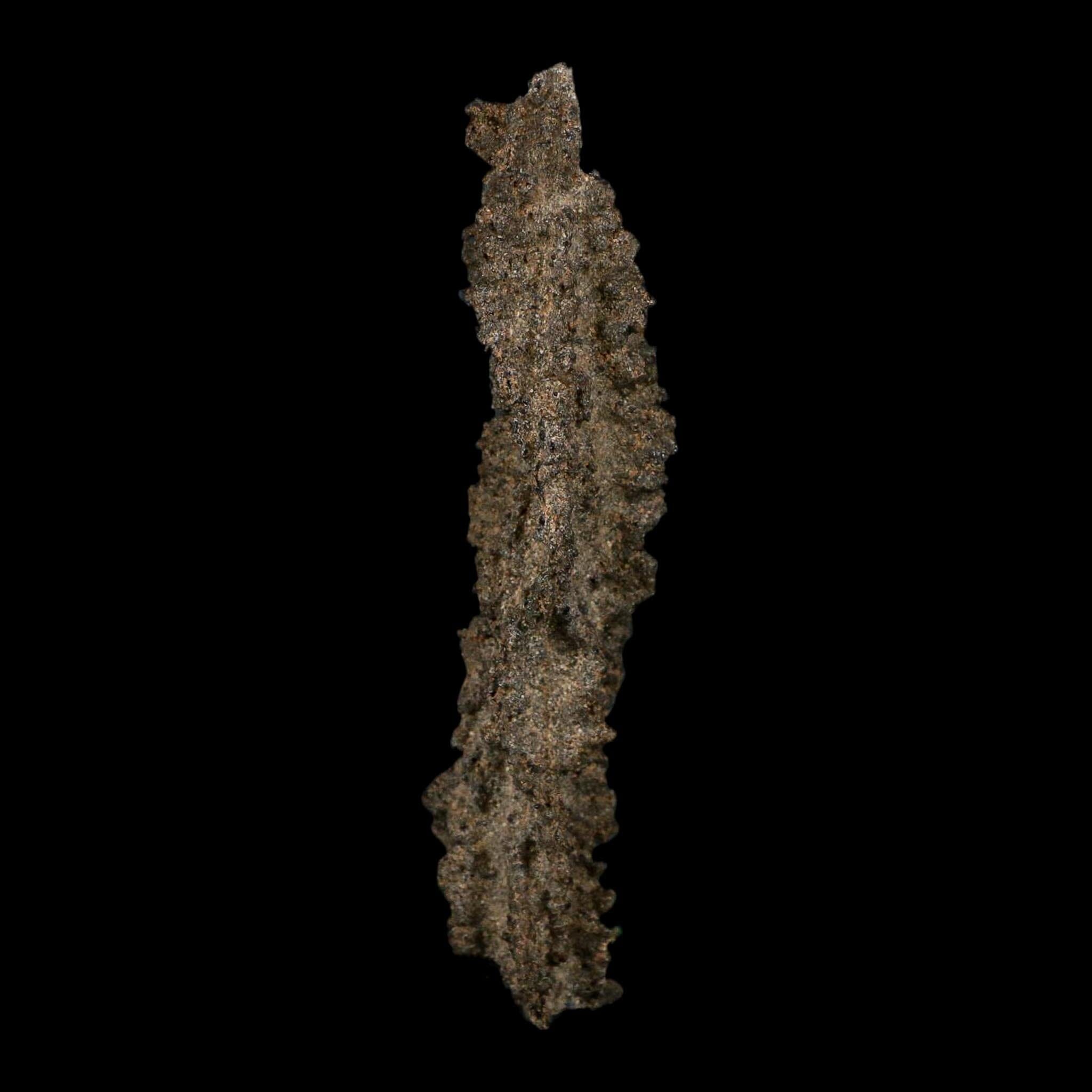 3.7" Fulgurite Petrified Lightning Strike Glass Sahara Desert Algeria - Fossil Age Minerals