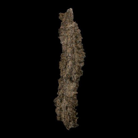 3.7" Fulgurite Petrified Lightning Strike Glass Sahara Desert Algeria - Fossil Age Minerals