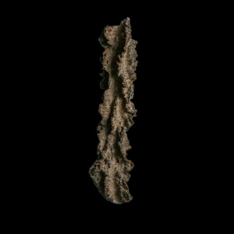 3.7" Fulgurite Petrified Lightning Strike Glass Sahara Desert Algeria - Fossil Age Minerals