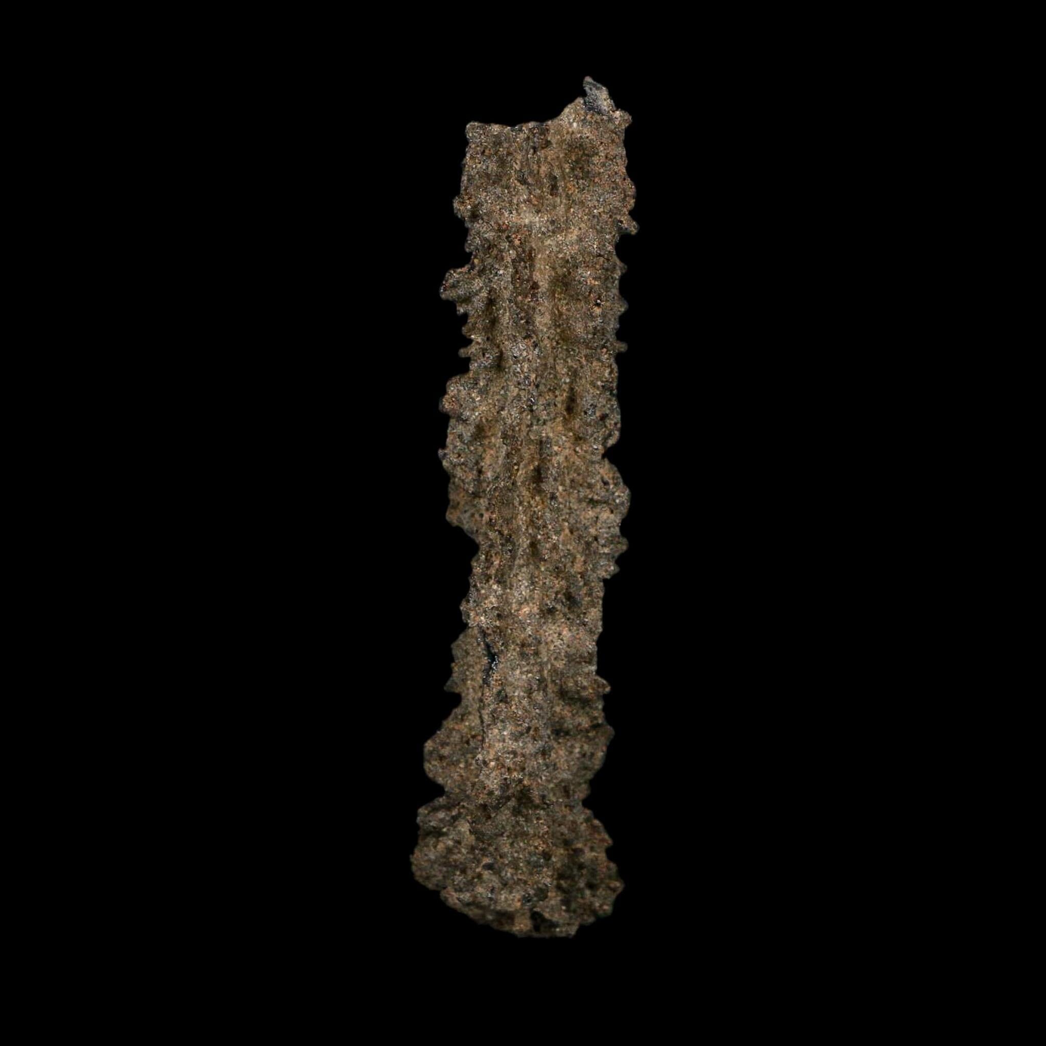 3.7" Fulgurite Petrified Lightning Strike Glass Sahara Desert Algeria - Fossil Age Minerals