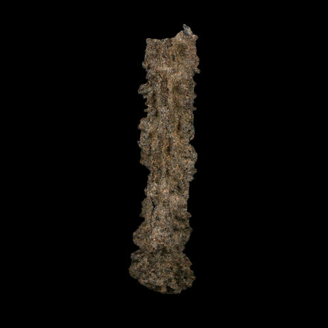 3.7" Fulgurite Petrified Lightning Strike Glass Sahara Desert Algeria - Fossil Age Minerals